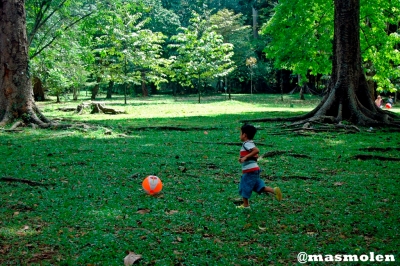 Seorang anak kecil bermain bola di area Kebun Raya Bogor